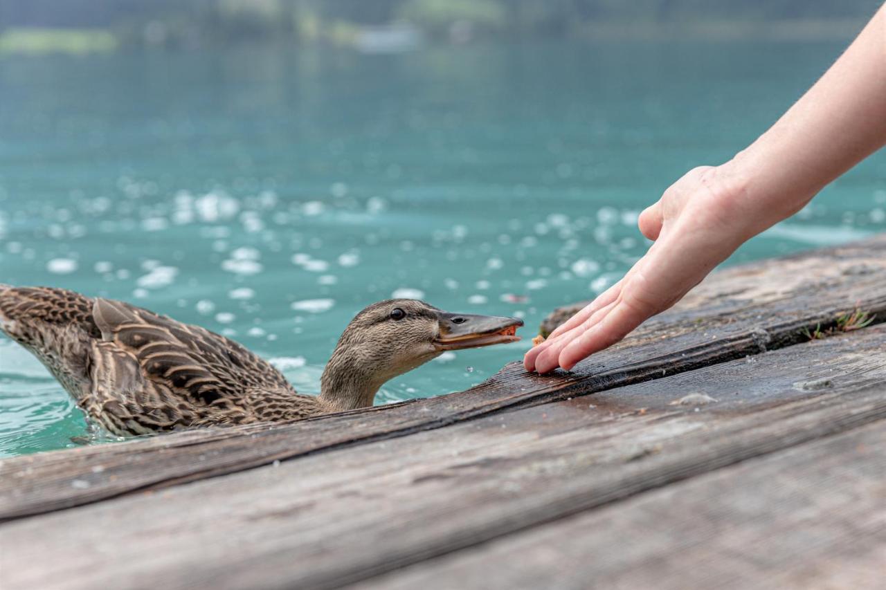Hotel Winkler-Tuschnig Weissensee Zewnętrze zdjęcie