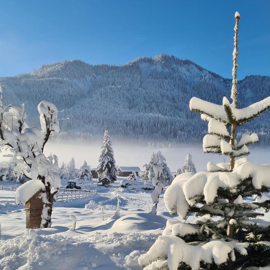 Hotel Winkler-Tuschnig Weissensee Zewnętrze zdjęcie